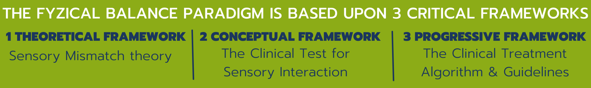 The FYZICAL Balance Paradigm is based on 3 critical frameworks